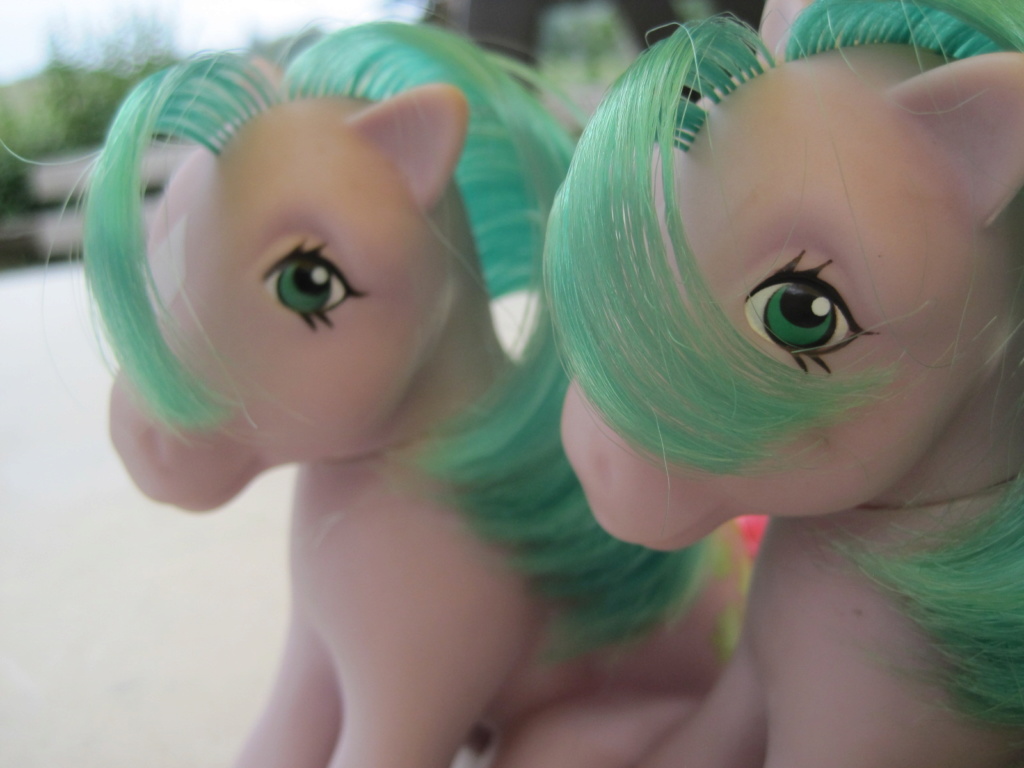 mes petits poneys g1 et lien pour la recap de mes poneys - Page 16 Img_8556