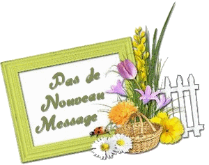 Pas de nouveaux messages Pas de nouveaux messages