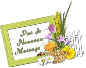 Pas de nouveaux messages