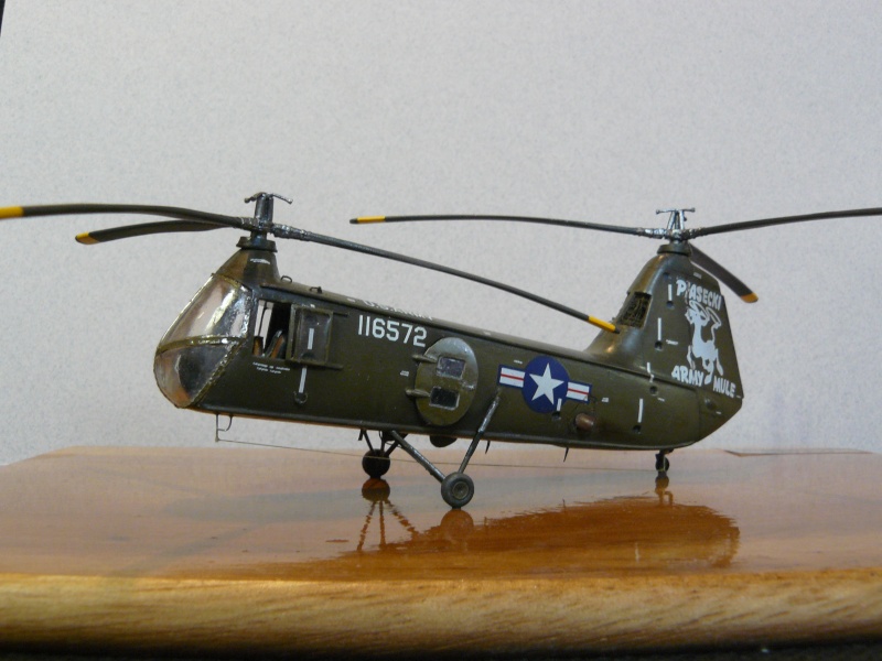 Piasecki H-25A 1/72 Amodel (landing) - Page 4 P1020023