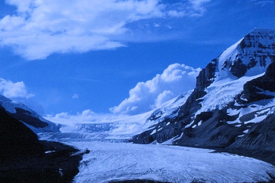 Glaciers du monde Columb10