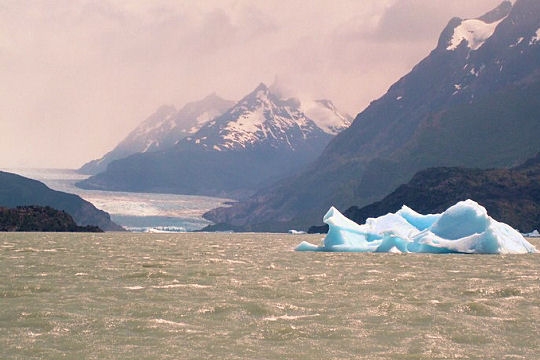 Glaciers du monde Grey-310