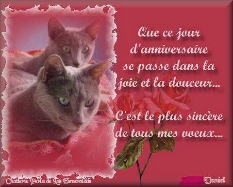 Bon Anniversaire Kelly Bon Anniversaire Kelly