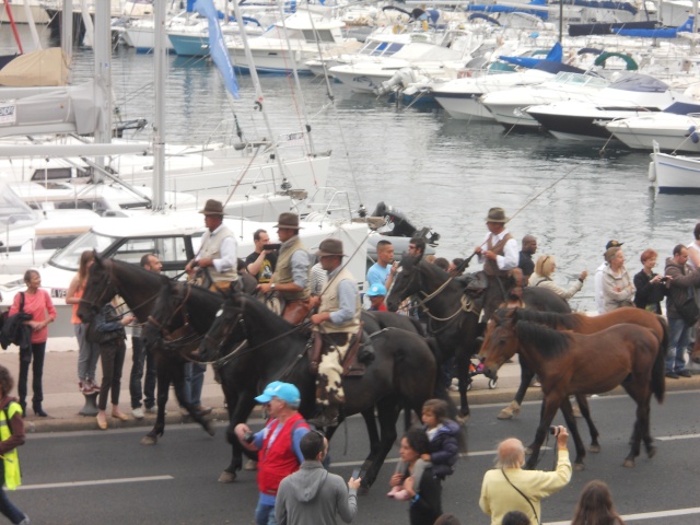 Marseille 2013 : Transhumance Transh11