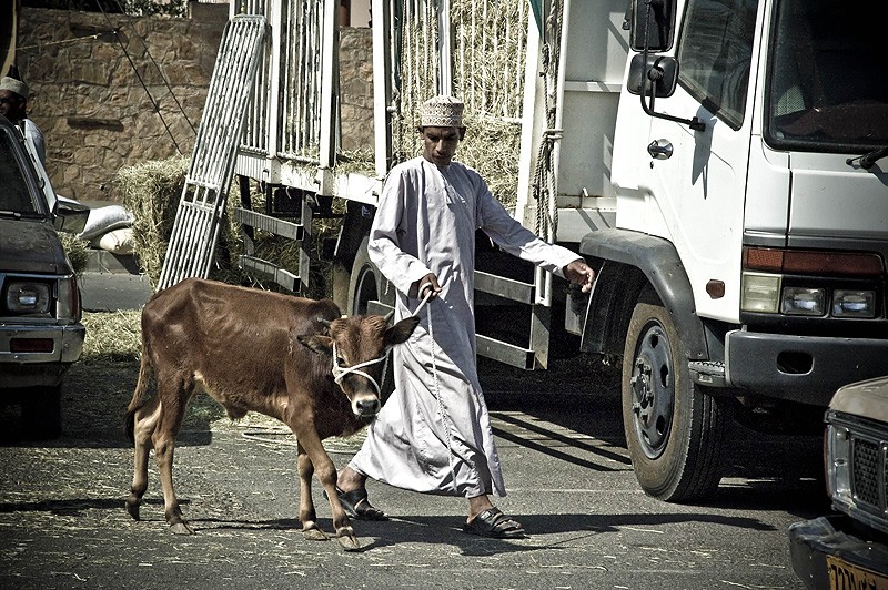 Quelques scènes de vie Omanaises... Dsc_1214