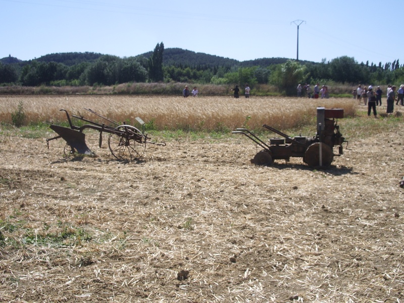 LA GARDE D'ADHEMAR 2009 01510