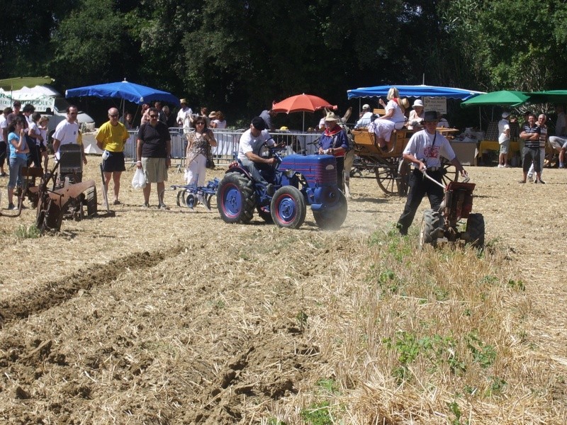 LA GARDE D'ADHEMAR 2009 01910