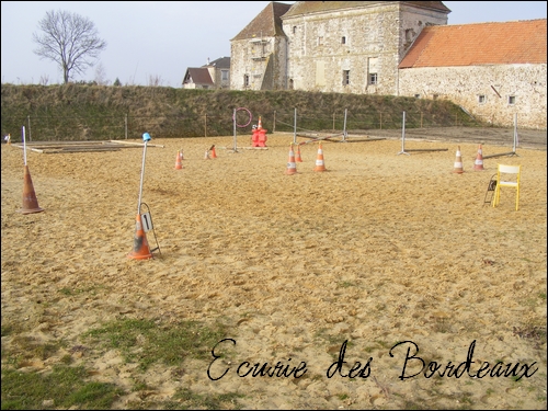 Ecurie des Bordeaux 02/77/75/93 - Centre-équestre, poney-club, écurie de proprio... + Terrain de CROSS ! Bordea10