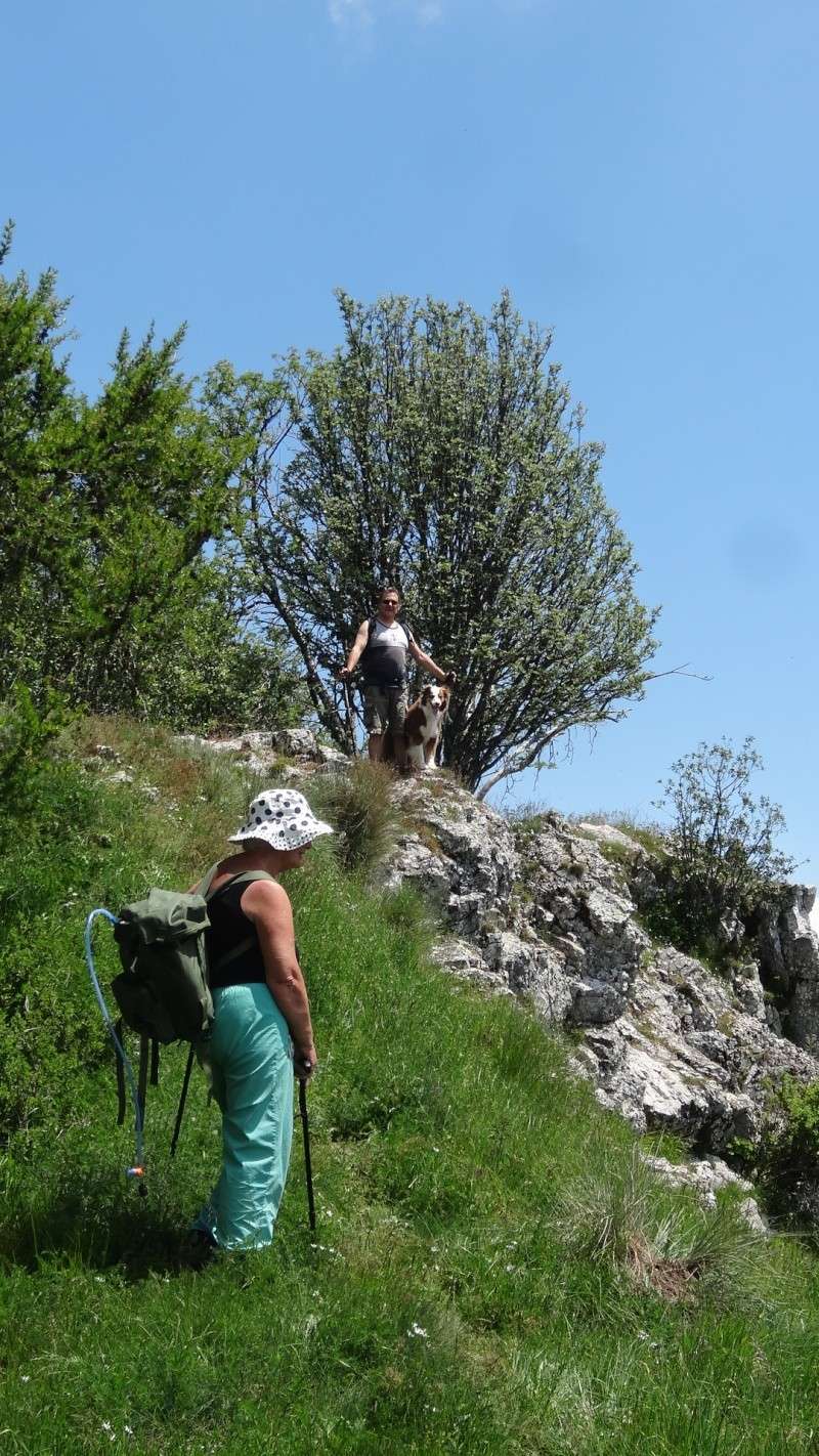 quelques photos pour ceux qui n'ont pas pu venir... Fontbe35