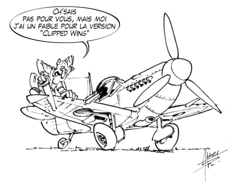Le Spitfire, vu par les membres d'AI Spit-c10