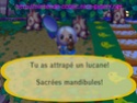 AC LGTTC sur Wii blagues d'insectes et de poissons Lucane10