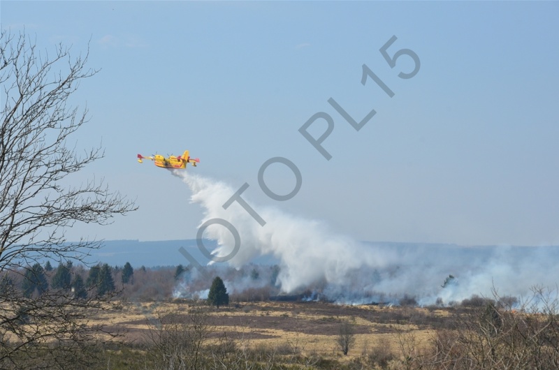 22/04/2013,un Canadair et un Trakker sur les Fagnes (Photos et vidéo) Dsc_5213