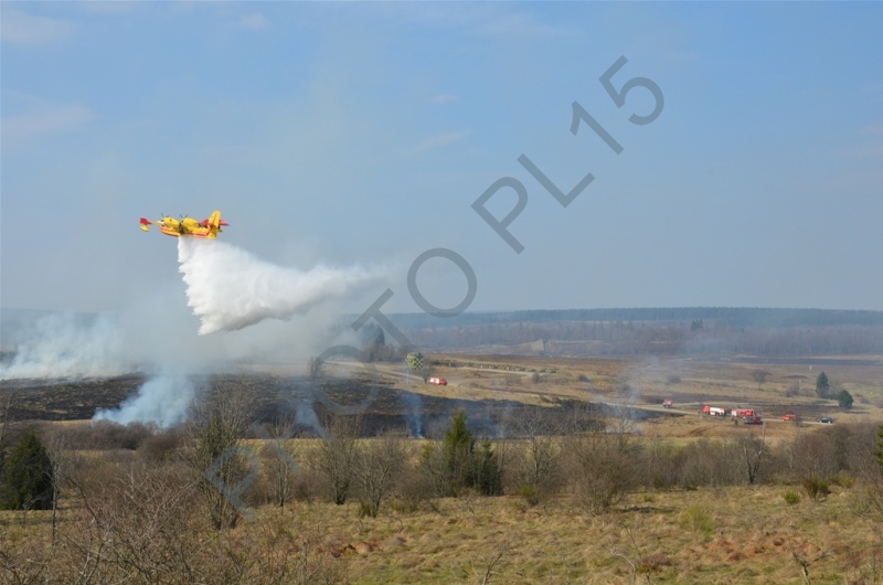 22/04/2013,un Canadair et un Trakker sur les Fagnes (Photos et vidéo) Dsc_5412