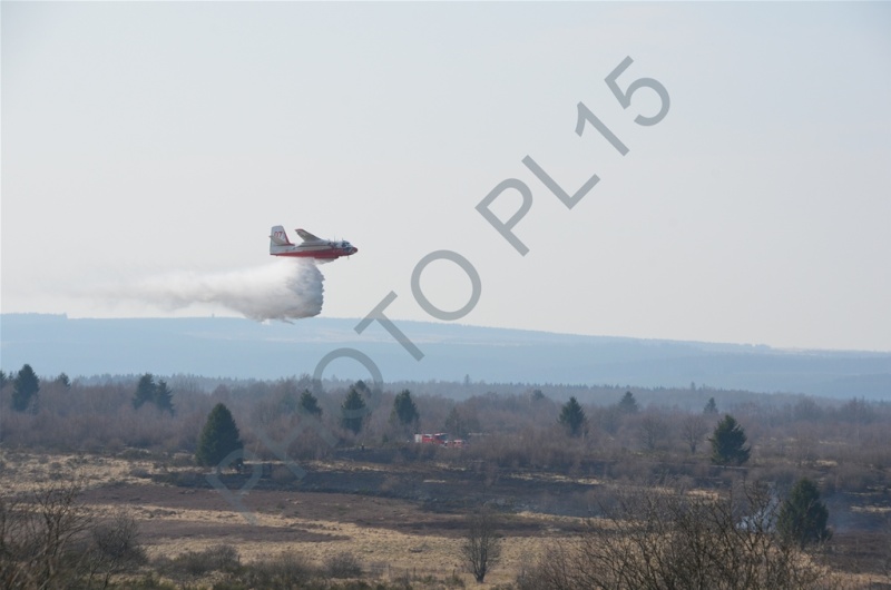 22/04/2013,un Canadair et un Trakker sur les Fagnes (Photos et vidéo) Dsc_5417