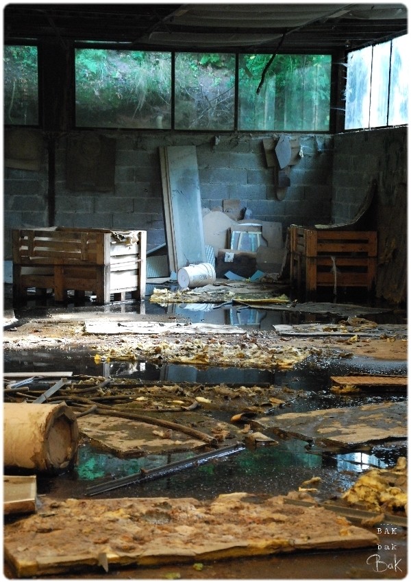 Jachère Urbaine Sans_t26