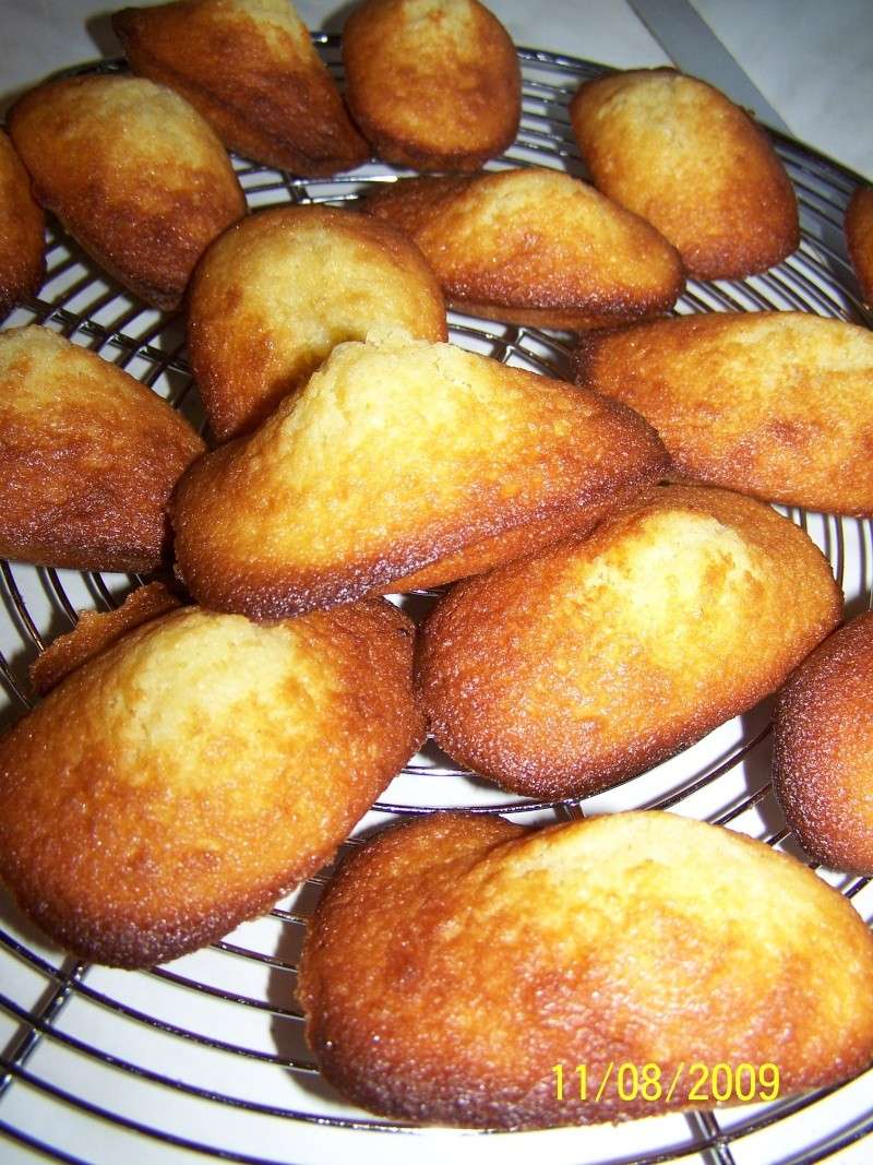 Madeleines - Page 3 100_6026