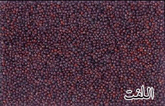 إستعمالات اللفت الشلغم و فوائده الطبية