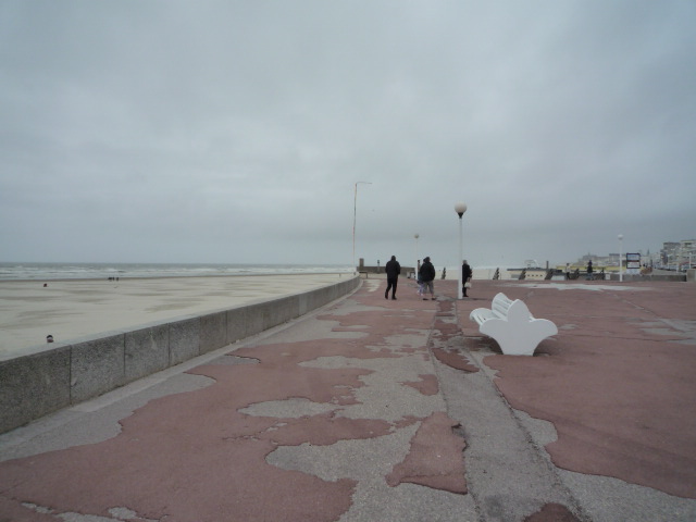 baie de somme  Mai_2013