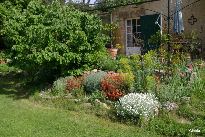 Quelques photos de mon jardin : gros projet 2013 : Evolution Mai 2014 - Page 4 Imgp5738