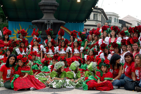 festa da flor Festa_13