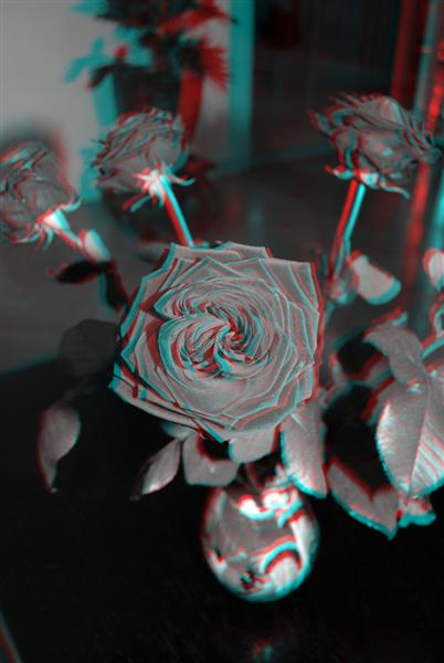 [ANA] Roses en N&B Rose_210