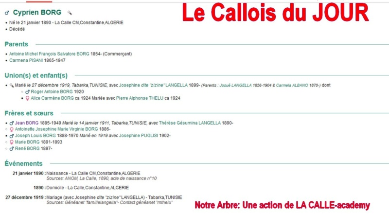 11 NOTRE ARBRE : Callois et Calloises mis à l'honneur en NOVEMBRE 1_cdj-13