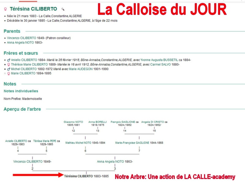 11 NOTRE ARBRE : Callois et Calloises mis à l'honneur en NOVEMBRE 1_cdj-16