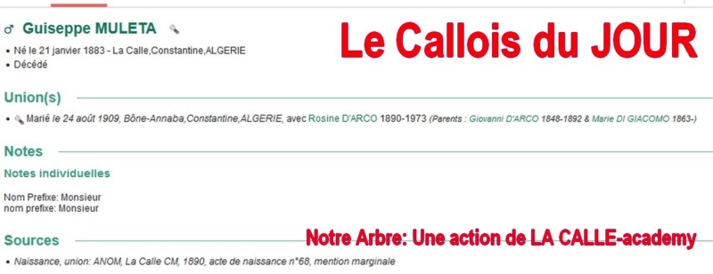 11 NOTRE ARBRE : Callois et Calloises mis à l'honneur en NOVEMBRE 1_cdj-18