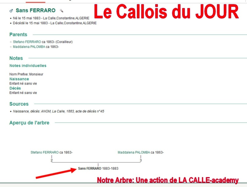 12 NOTRE ARBRE : Callois et Calloises mis à l'honneur en DECEMBRE 1_cdj-26