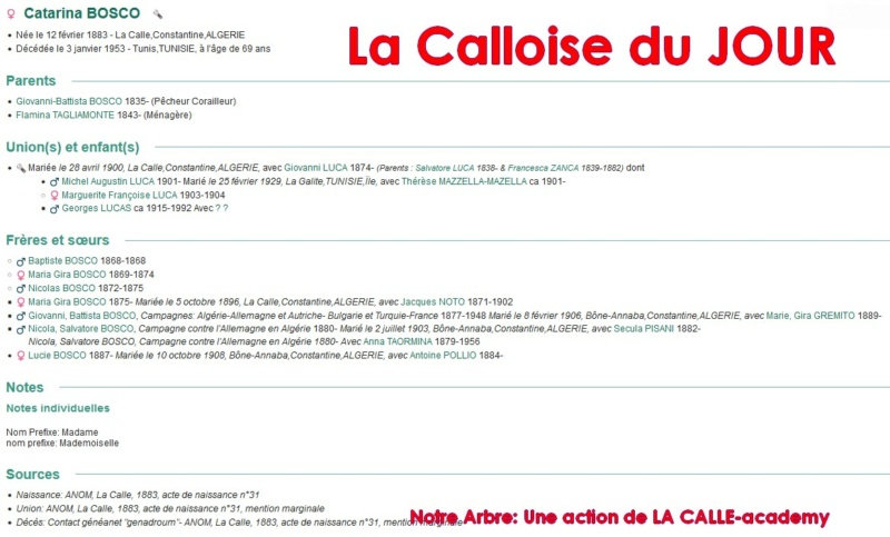 12 NOTRE ARBRE : Callois et Calloises mis à l'honneur en DECEMBRE 1_cdj-33