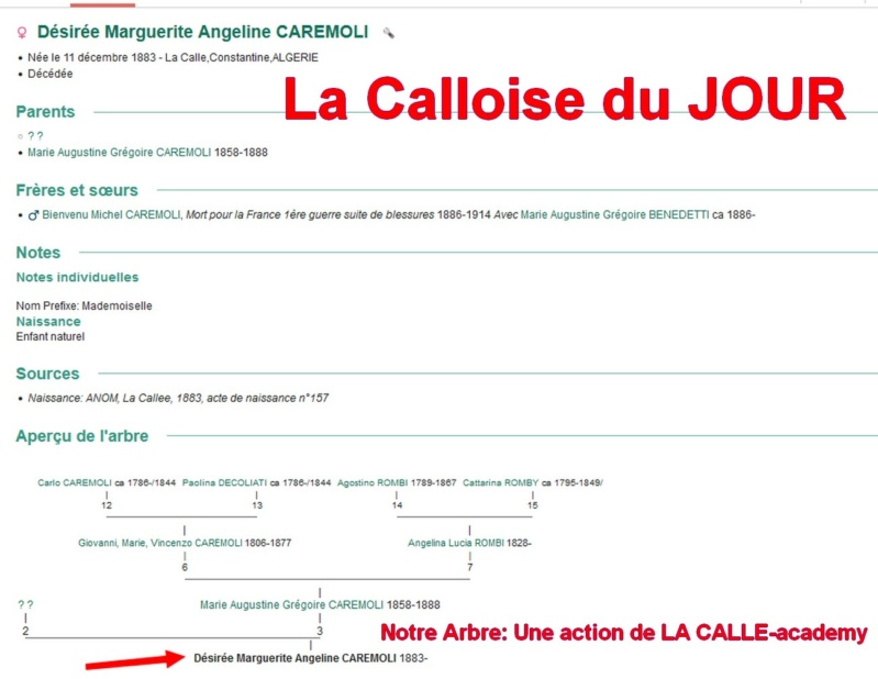 12 NOTRE ARBRE : Callois et Calloises mis à l'honneur en DECEMBRE 1_cdj-34