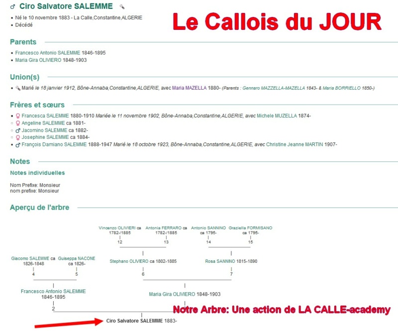 12 NOTRE ARBRE : Callois et Calloises mis à l'honneur en DECEMBRE 1_cdj-35