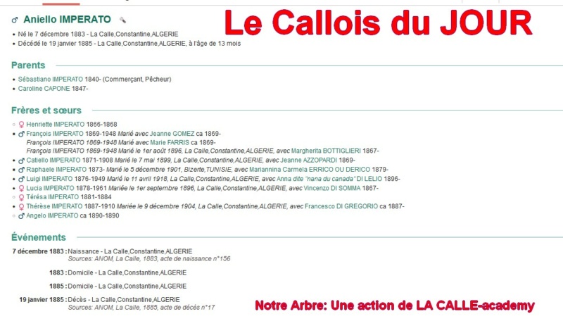 12 NOTRE ARBRE : Callois et Calloises mis à l'honneur en DECEMBRE 1_cdj-39