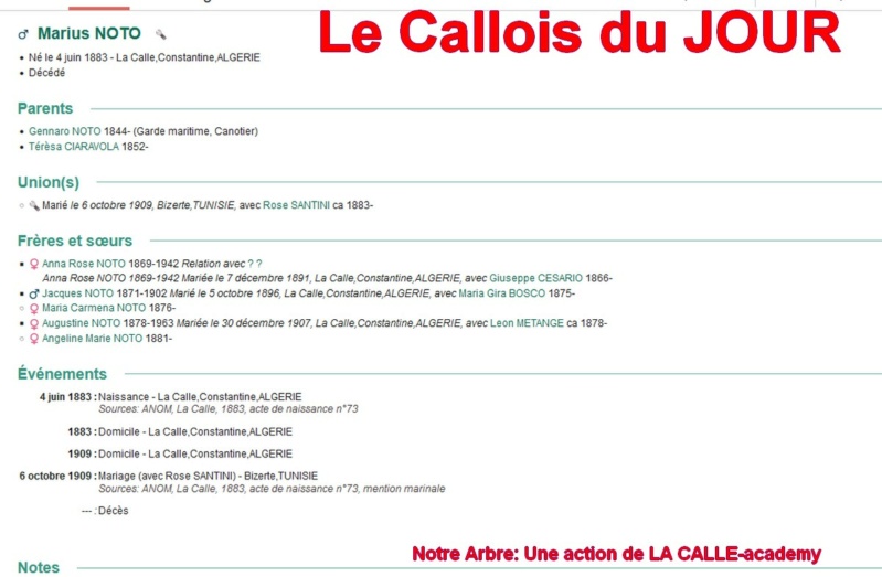 01 NOTRE ARBRE : Callois et Calloises mis à l'honneur en JANVIER 1_cdj-47