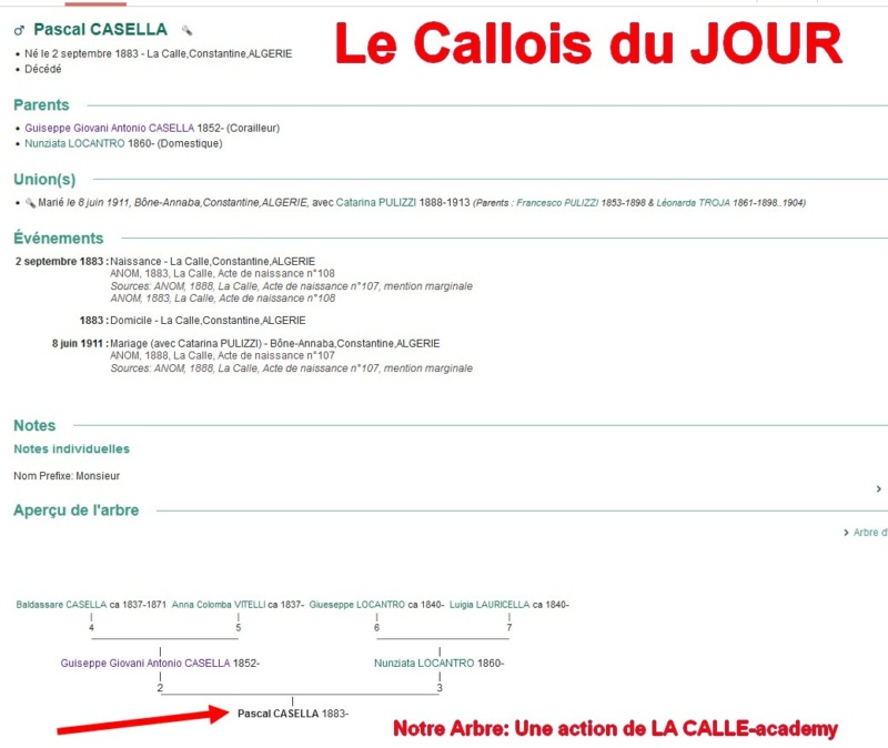 01 NOTRE ARBRE : Callois et Calloises mis à l'honneur en JANVIER 1_cdj-52