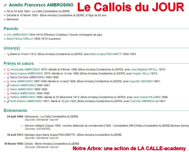 02 NOTRE ARBRE : Callois et Calloises mis à l'honneur en FEVRIER 1_cdj-68