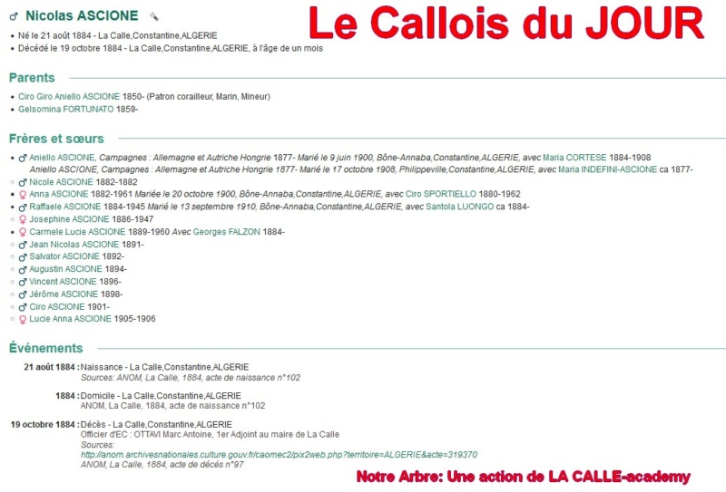02 NOTRE ARBRE : Callois et Calloises mis à l'honneur en FEVRIER 1_cdj-69
