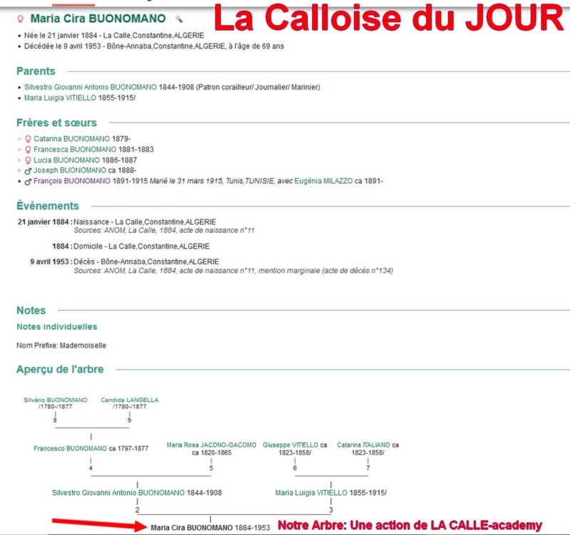 02 NOTRE ARBRE : Callois et Calloises mis à l'honneur en FEVRIER 1_cdj-72