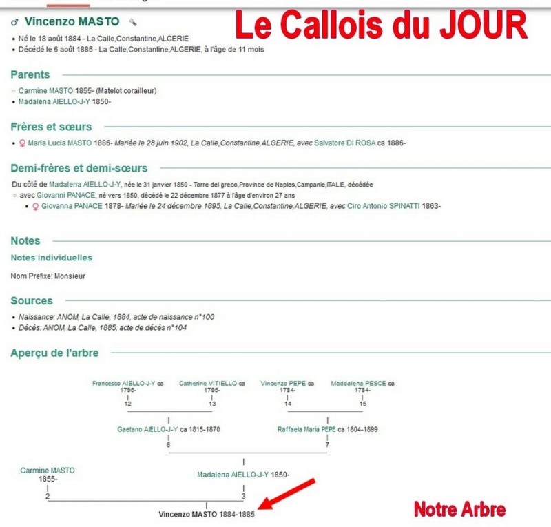 03 NOTRE ARBRE : Callois et Calloises mis à l'honneur en MARS 1_cdj-76