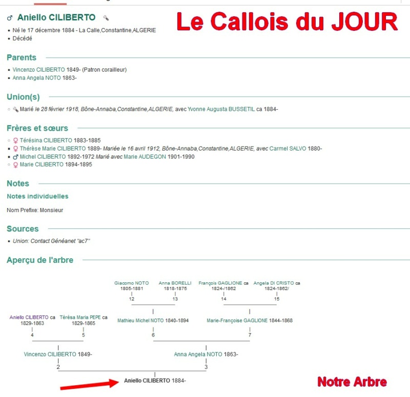 03 NOTRE ARBRE : Callois et Calloises mis à l'honneur en MARS 1_cdj-78
