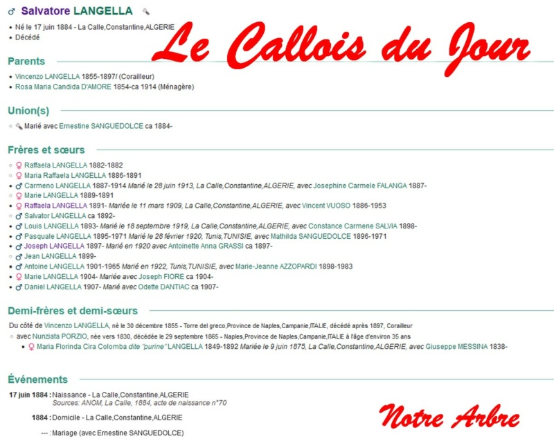 03 NOTRE ARBRE : Callois et Calloises mis à l'honneur en MARS 1_cdj-81