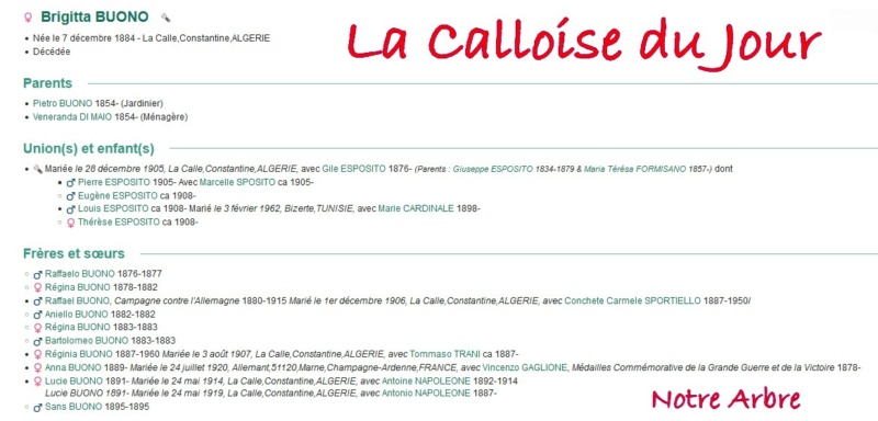05 NOTRE ARBRE : Callois et Calloises mis à l'honneur en MAI 1_cdj-96