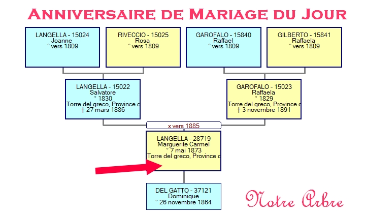 06 NOTRE ARBRE : Mariages de JUIN 2018_185