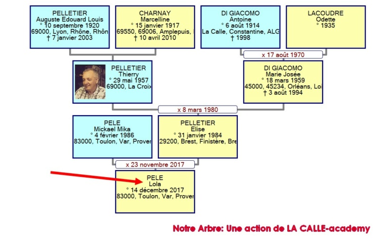 12 NOTRE ARBRE : Naissances en DECEMBRE - Page 2 2021_101