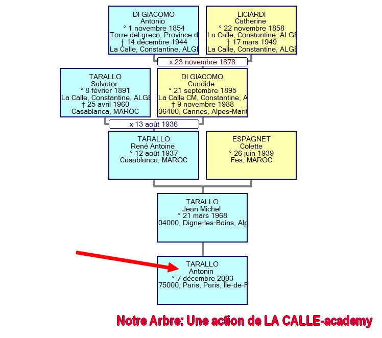 12 NOTRE ARBRE : Naissances en DECEMBRE - Page 2 2021_a76