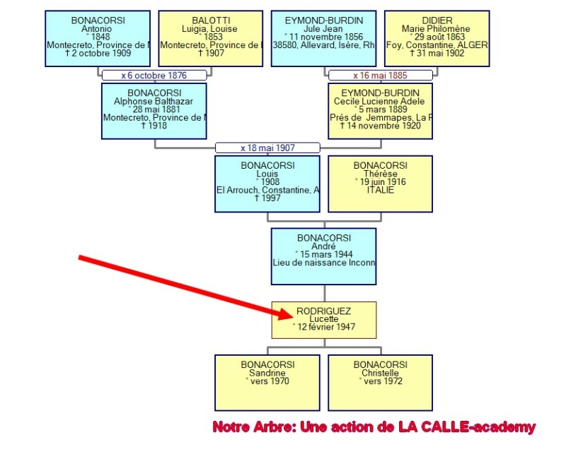 02 NOTRE ARBRE : Naissances en FEVRIER 2022_140