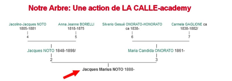 02 NOTRE ARBRE : Callois et Calloises mis à l'honneur en FEVRIER 3_cdj-35