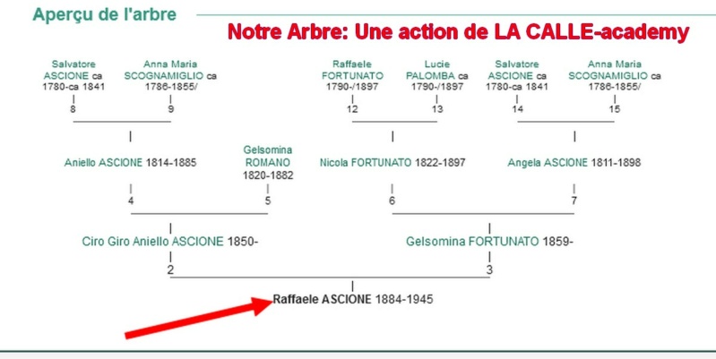 02 NOTRE ARBRE : Callois et Calloises mis à l'honneur en FEVRIER 3_cdj-38