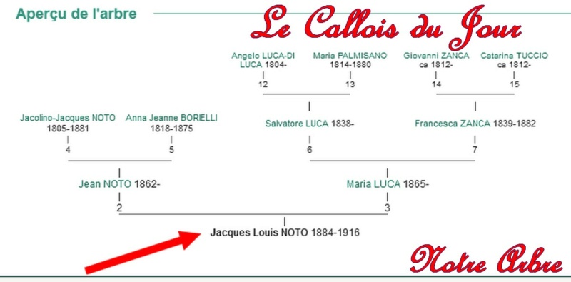 04 NOTRE ARBRE : Callois et Calloises mis à l'honneur en AVRIL 3_cdj-46