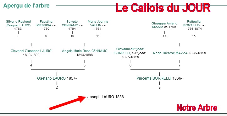 05 NOTRE ARBRE : Callois et Calloises mis à l'honneur en MAI 3_cdj-50